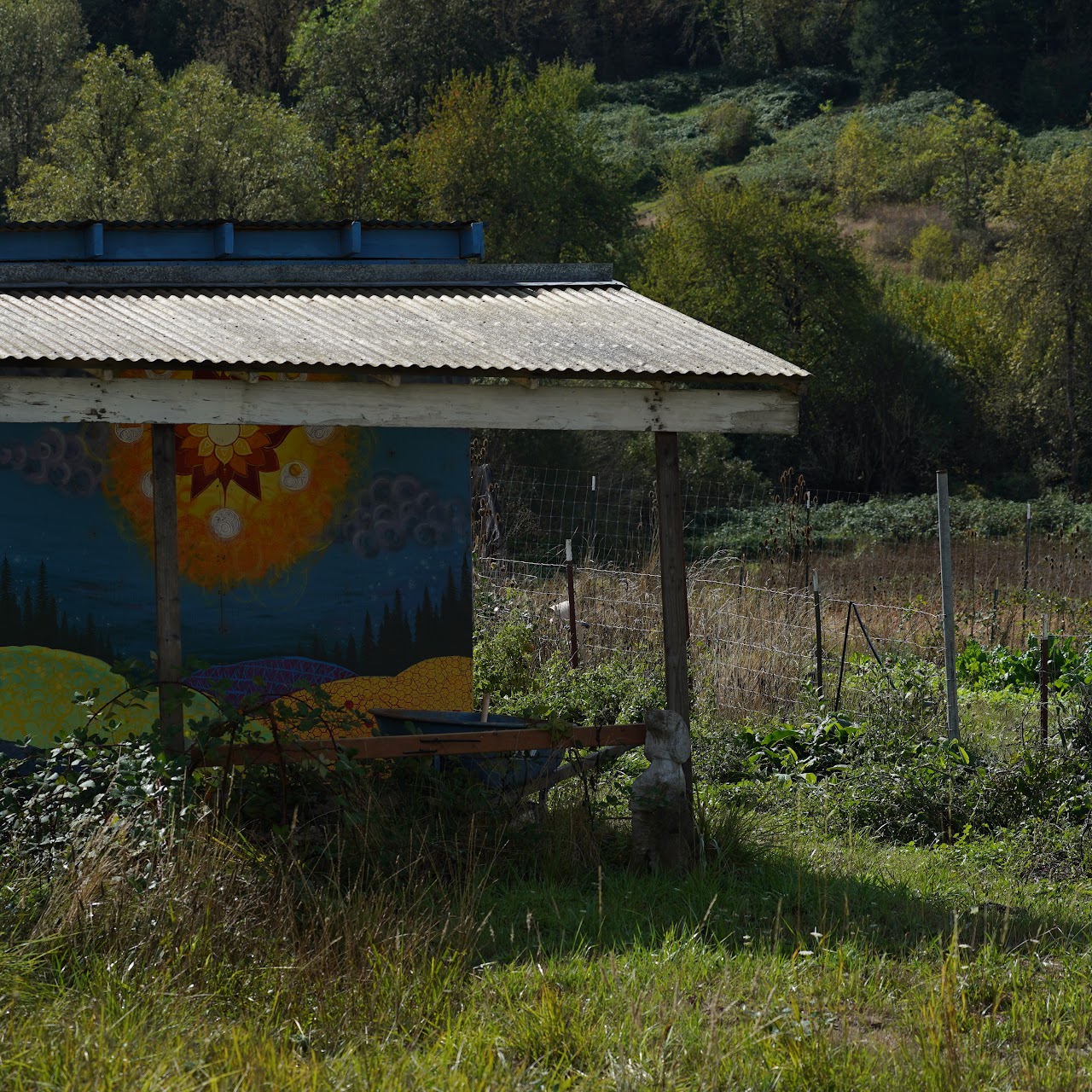 Earlier photograph of the garden area; not current condition